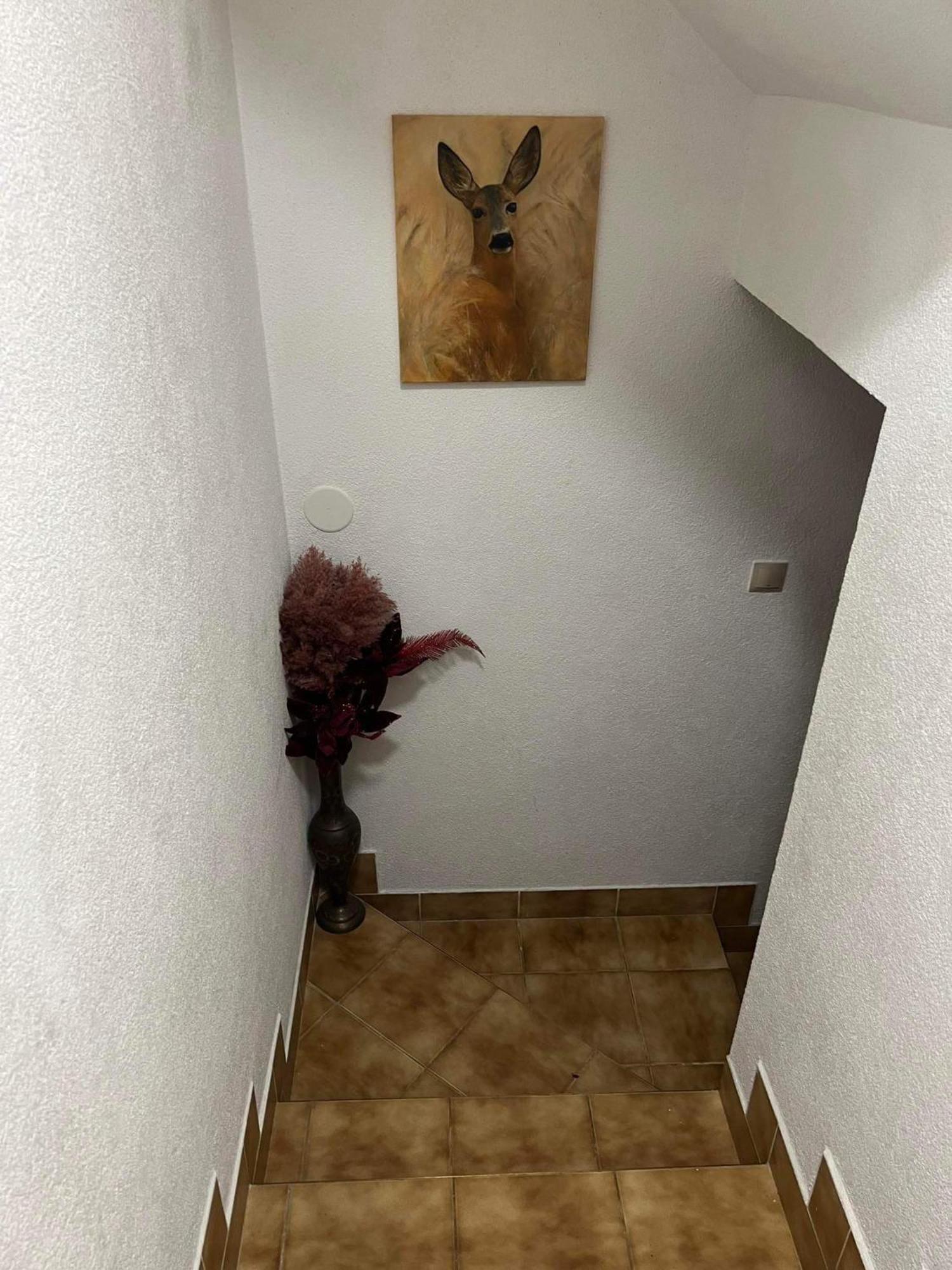 Privat Forest Liptovský Mikuláš Εξωτερικό φωτογραφία